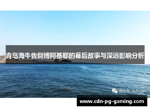 青岛海牛告别博阿基耶的幕后故事与深远影响分析 青岛海牛告别博阿基耶的幕后故事与深远影响分析